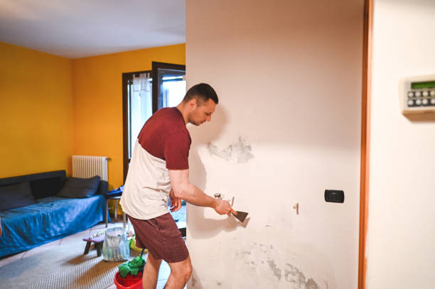 Best Mold Testing and Inspection Services in Corsicana, TX